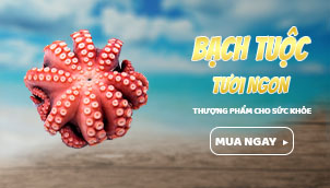 banner Bạch tuộc tươi ngon