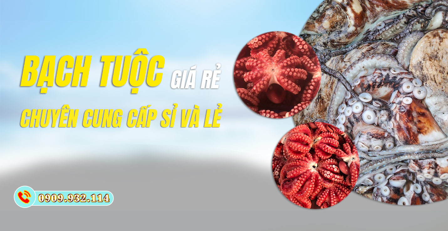 banner bạch tuộc