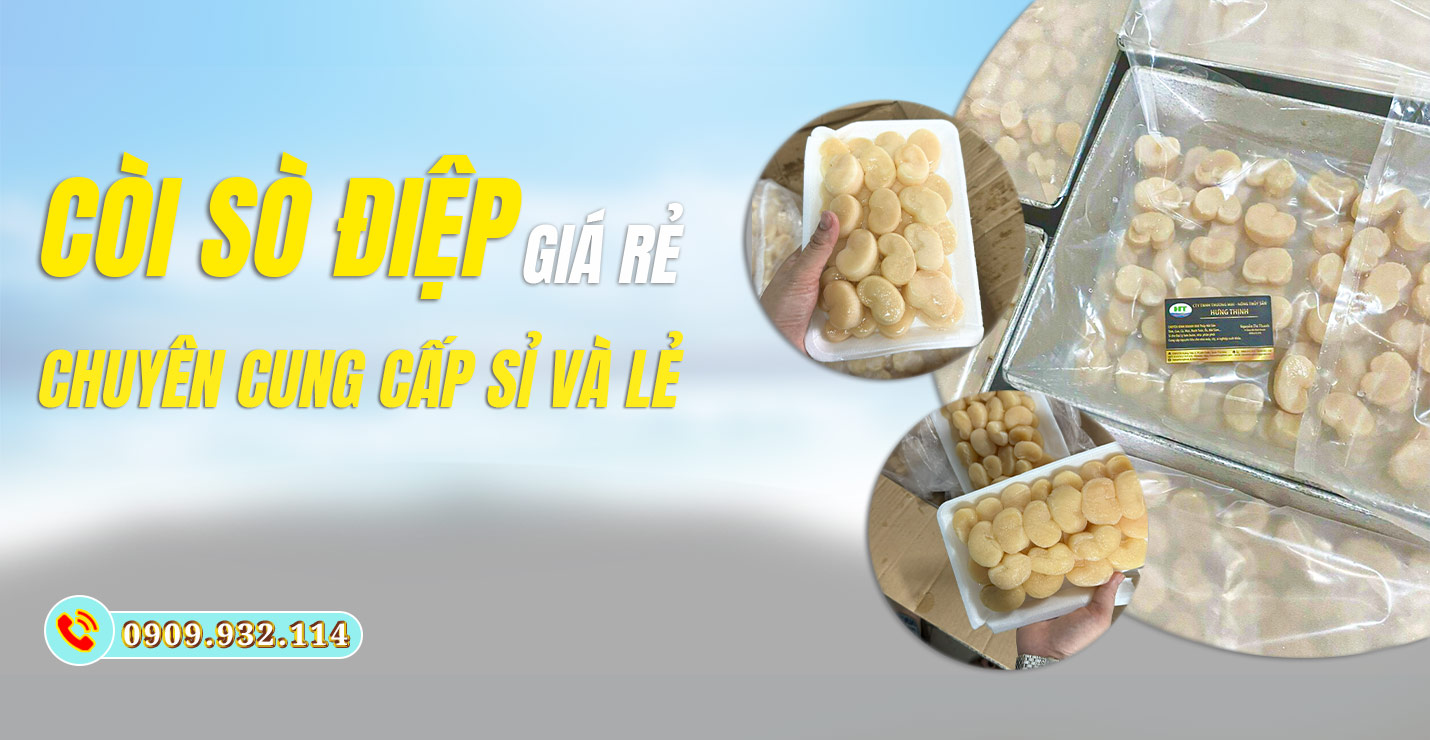 banner còi sò điệp tươi ngon