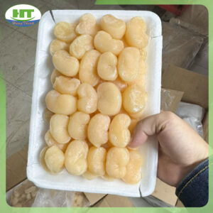 cồi sò mai 4