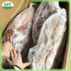mực lá đại dương