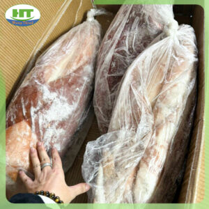 mực lá đại dương