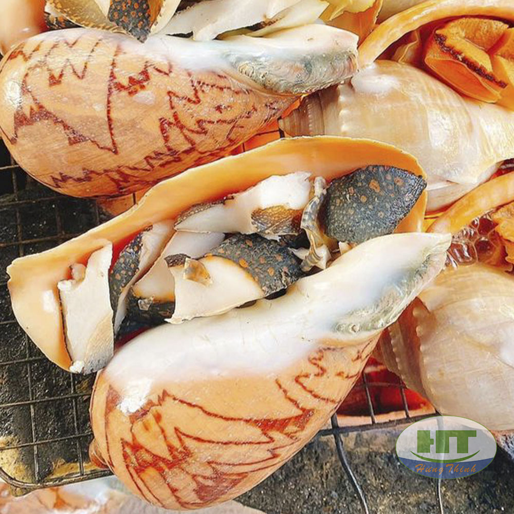 ốc giác biển làm món gì ngon